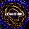 Zoanthids - WildCorals