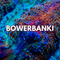 Bowerbanki Coral - WildCorals