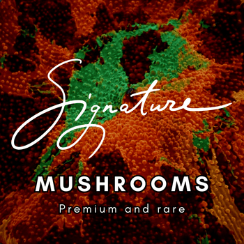 WC Signature Mushrooms