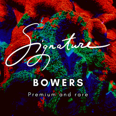 Collection image for: WC Signature Bowers