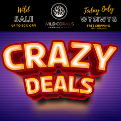 Crasy Deal - WildCorals