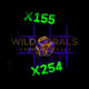 Acanthastrea Lordhowensis - X254 - WildCorals