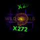 Acanthastrea Lordhowensis - X272 - WildCorals