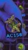 Acropora Frag AC158 – WildCorals
